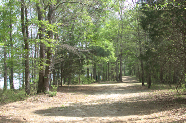 Stroll through Conyers