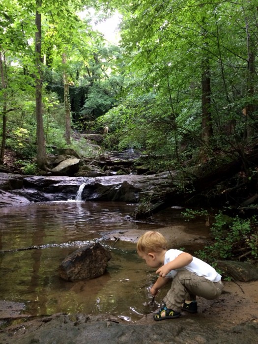 Cascade Springs Nature Preserve photo by Lesli Peterson
