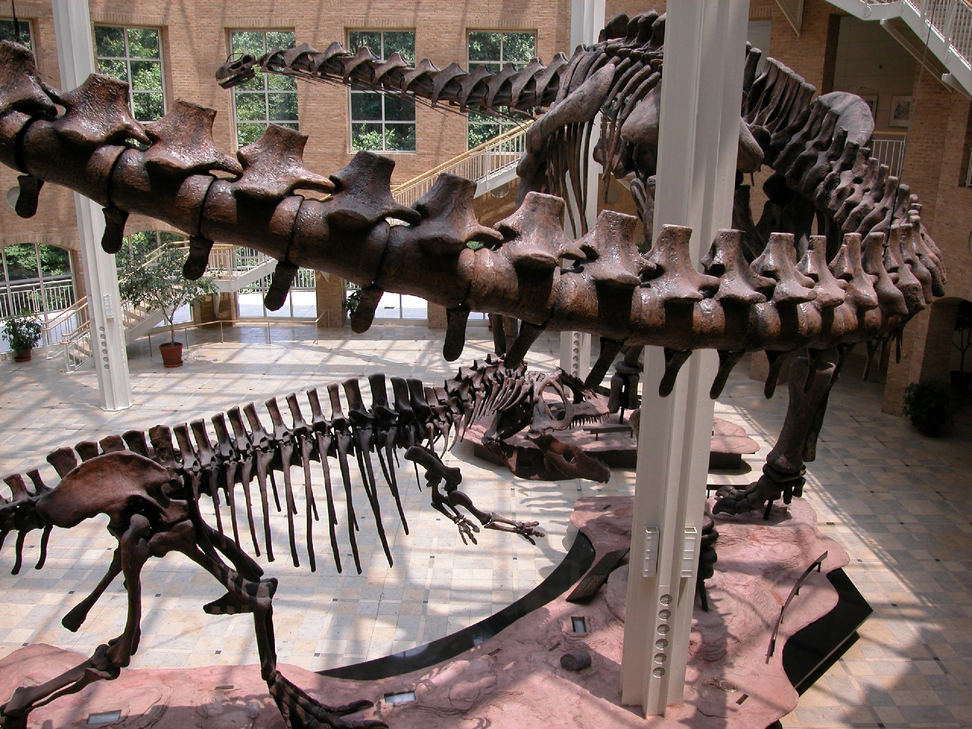 Explore cultural treasures and ancient fossils, and experience the thrill of a film in the IMAX Theatre at Fernbank Museum in Atlanta.