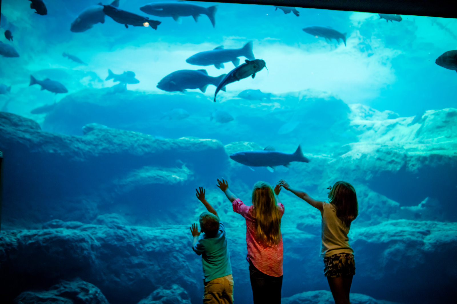 Children at the Flint RiverQuarium in Albany, Georgia