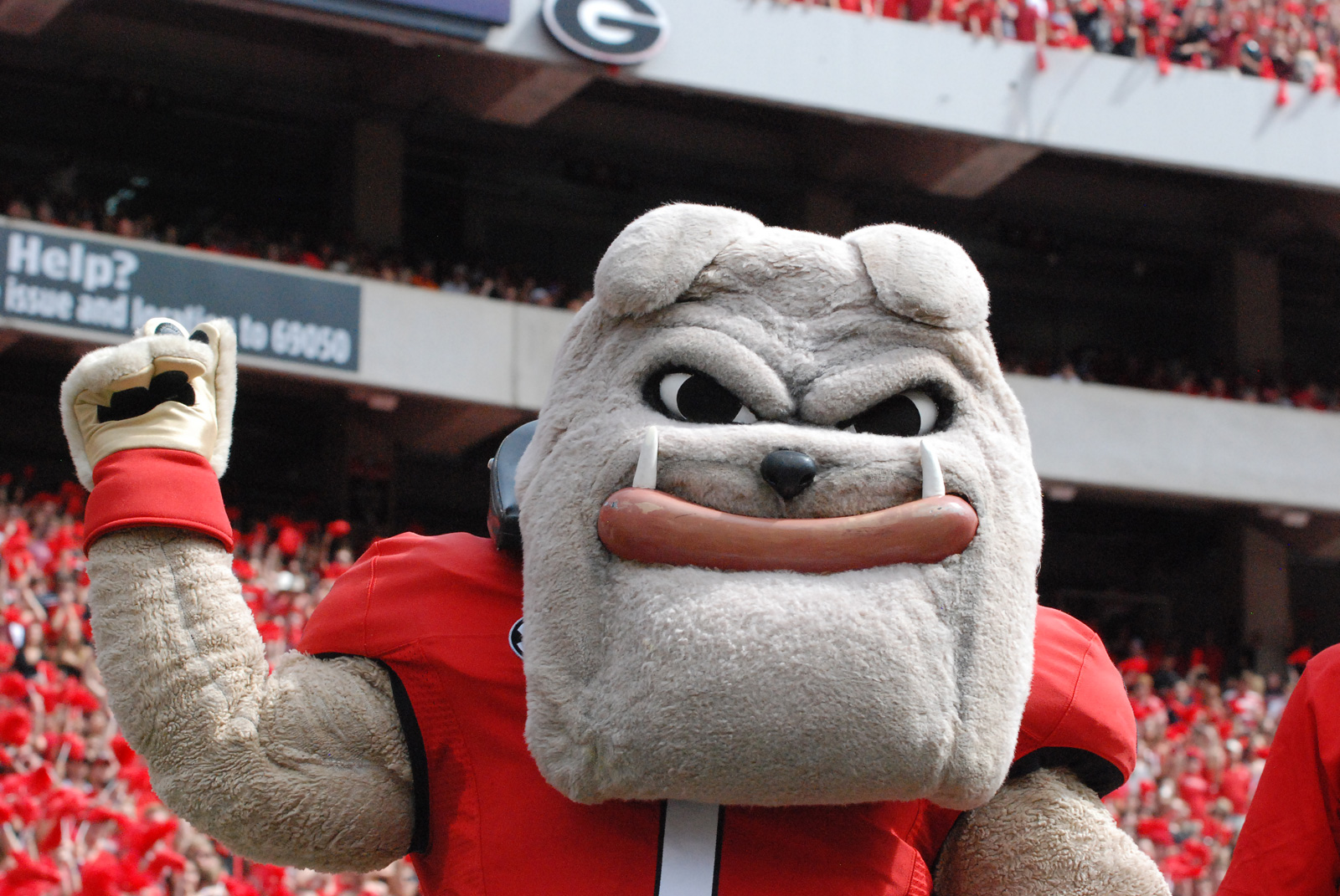 UGA