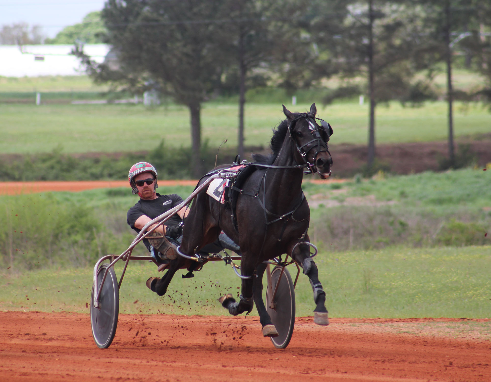 Harness Racing