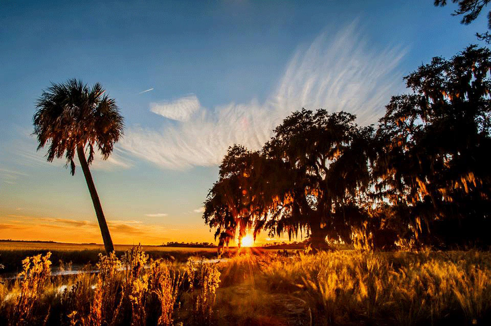 Little St. Simons Island, Georgia