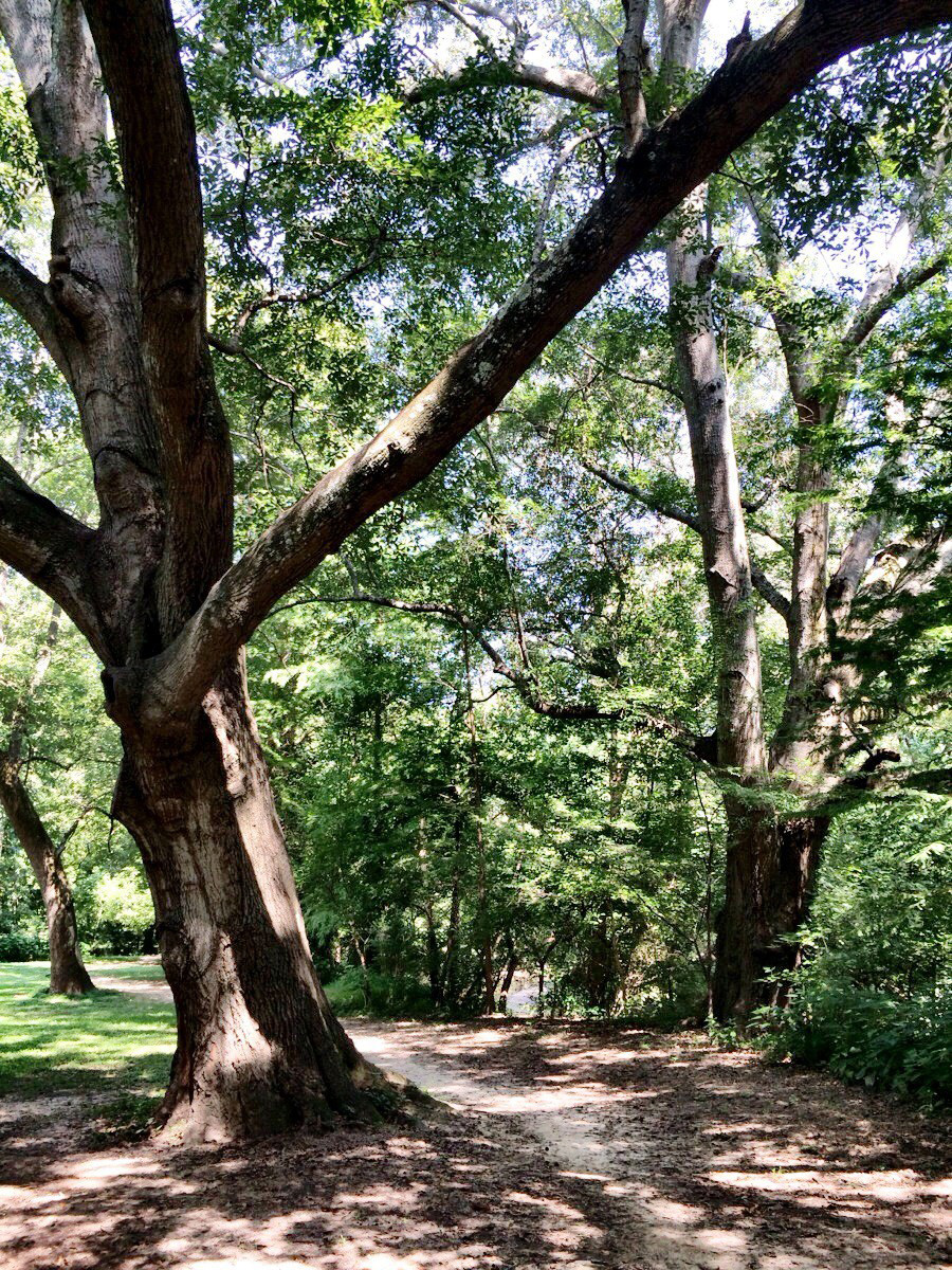 Memorial Park in Buckhead (Atlanta). Photo by Lesli Peterson