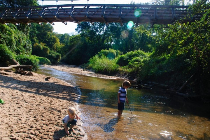 Morningside Nature Preserve photo by Lesli Peterson
