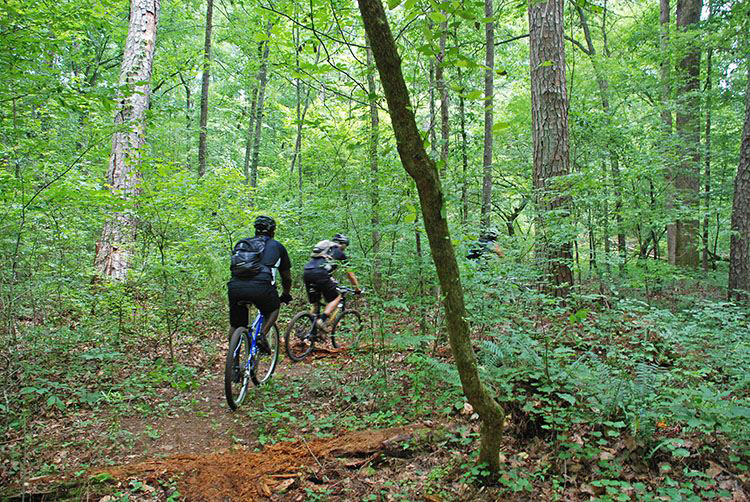 Mountain biking at Hard Labor Creek State Park in Rutledge, Georgia