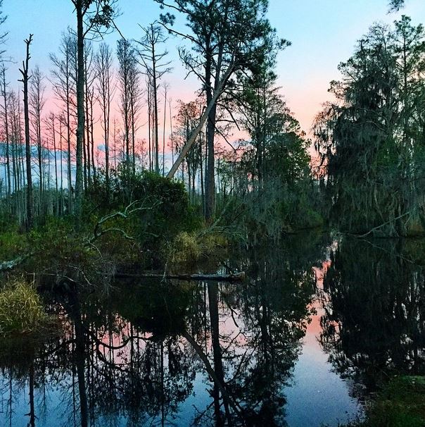 Photo courtesy of @danoid via Instagram