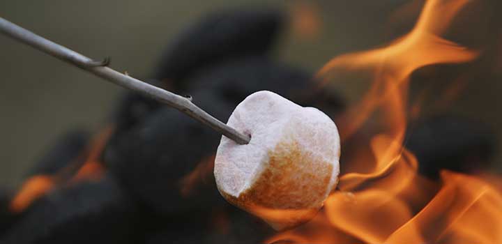 Reserve a fire pit at Southern Belle Farms to cap off a day at the farm with smores.