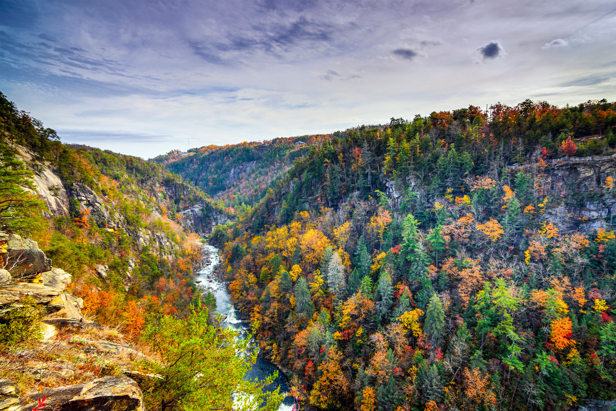 Photo Credit: Glen Ella Springs Inn