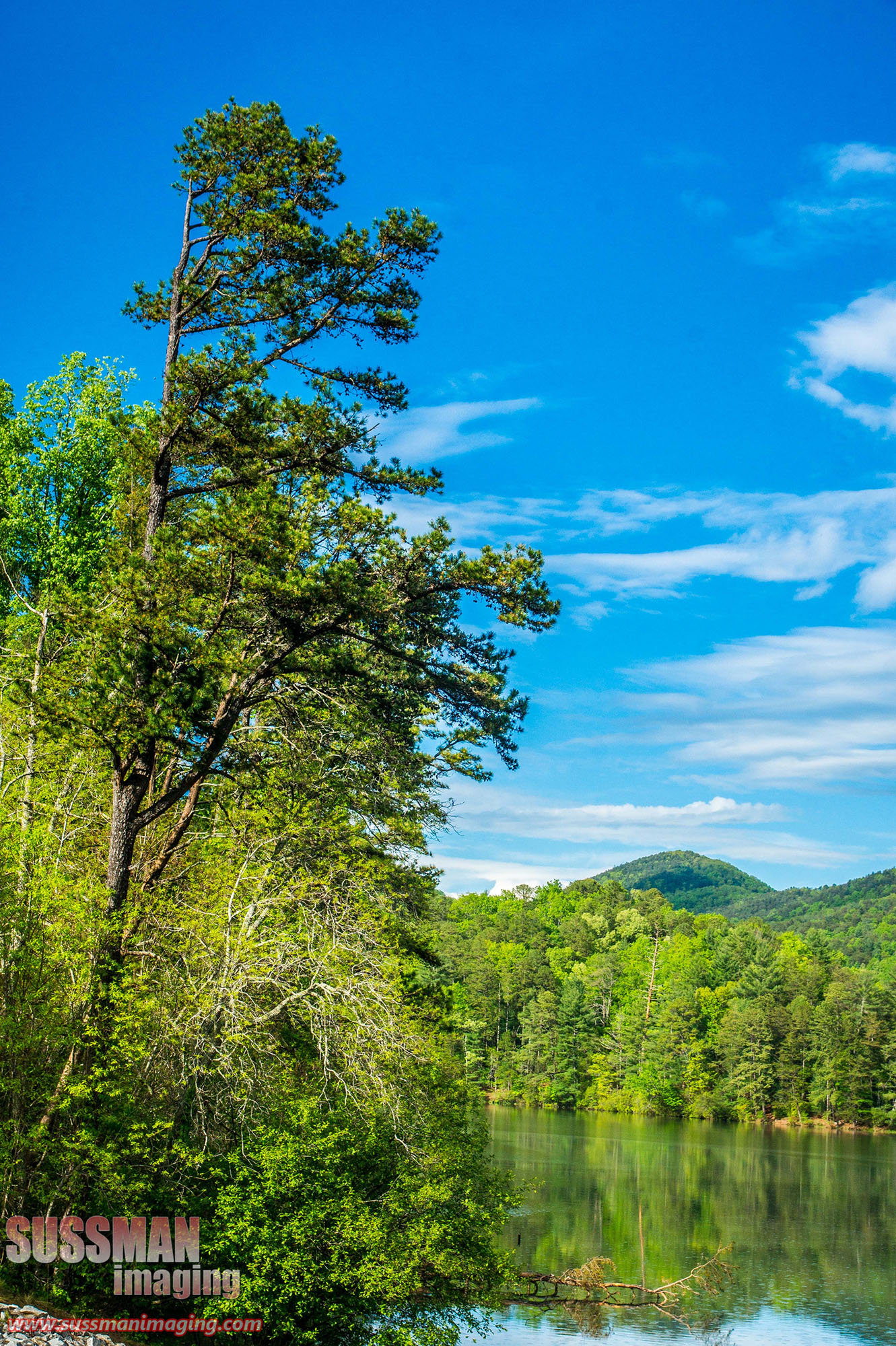 unicoi