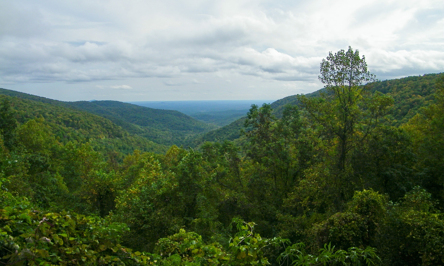 Looking south from Mountain Crossings at Walasi-Yi, Appalachian Trail hikers can take in a stunning view of Neels Gap. - Photo courtesy Brian Greer via Flickr