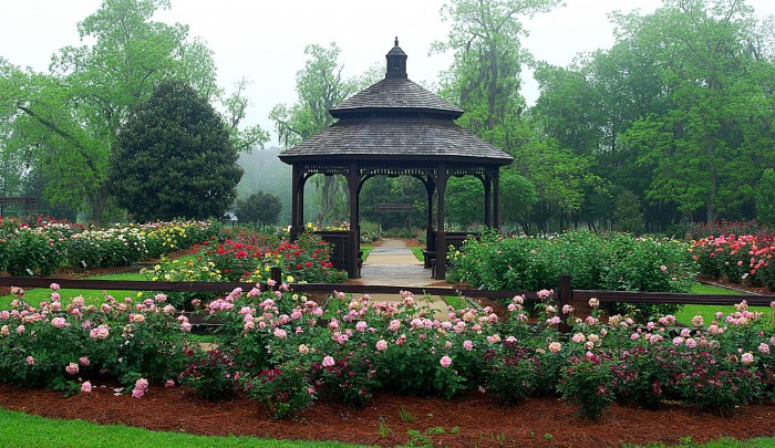 Thomasville Rose Garden