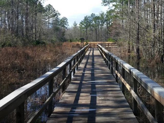 Grand Bay Wildlife Management Area | Explore Georgia