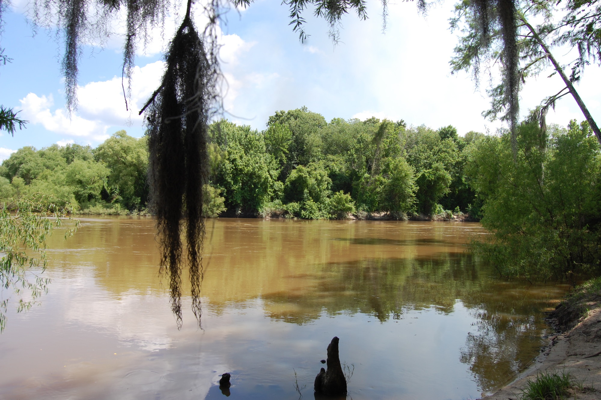 Horse Creek Wildlife Management Area