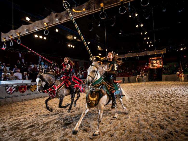 Medieval Times Dinner horse photo