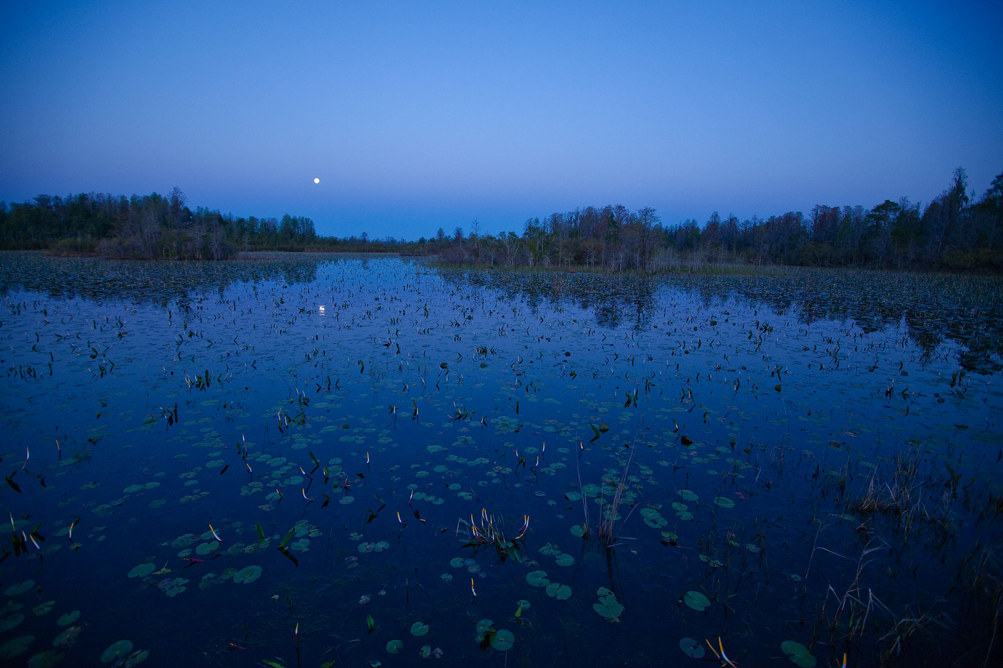 Okefenokee National Wildlife Refuge in Folkston, Georgia