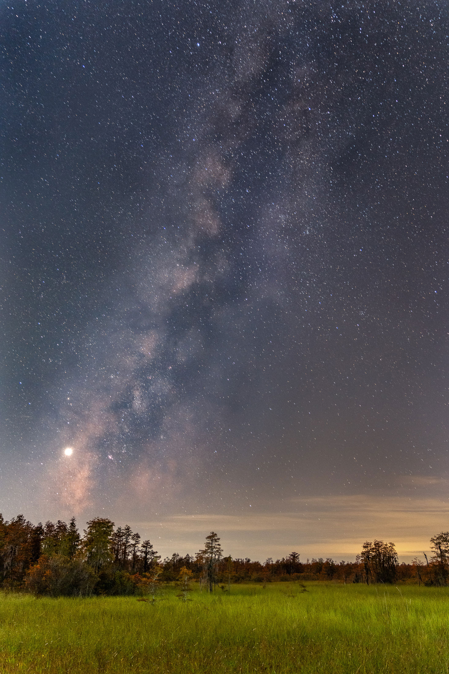 Starry sky over the Okefenokee Swamp in south Georgia. Photo by Chris Greer