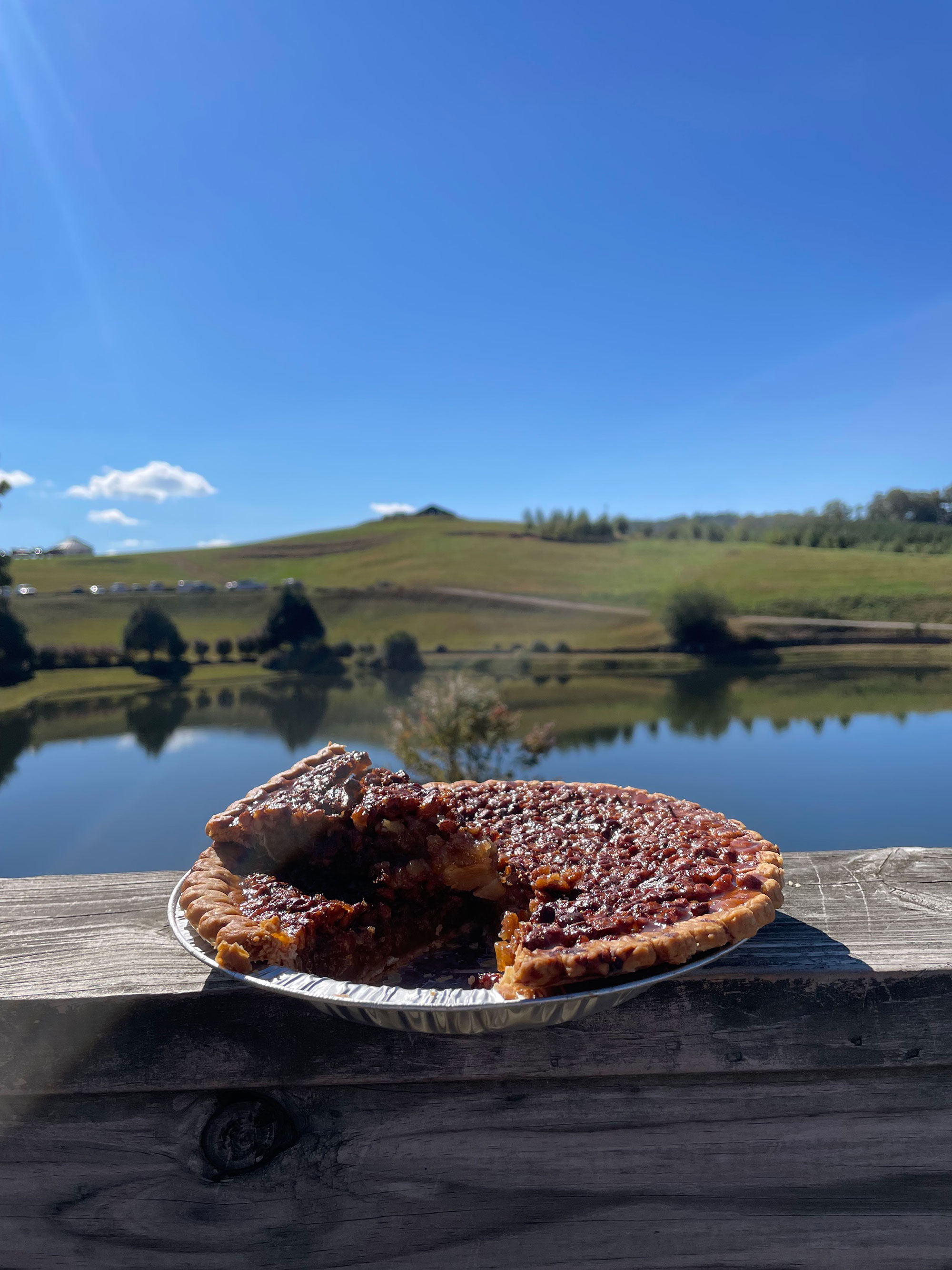 Pecan pie at Mercier Orchards in Blue Ridge, Georgia