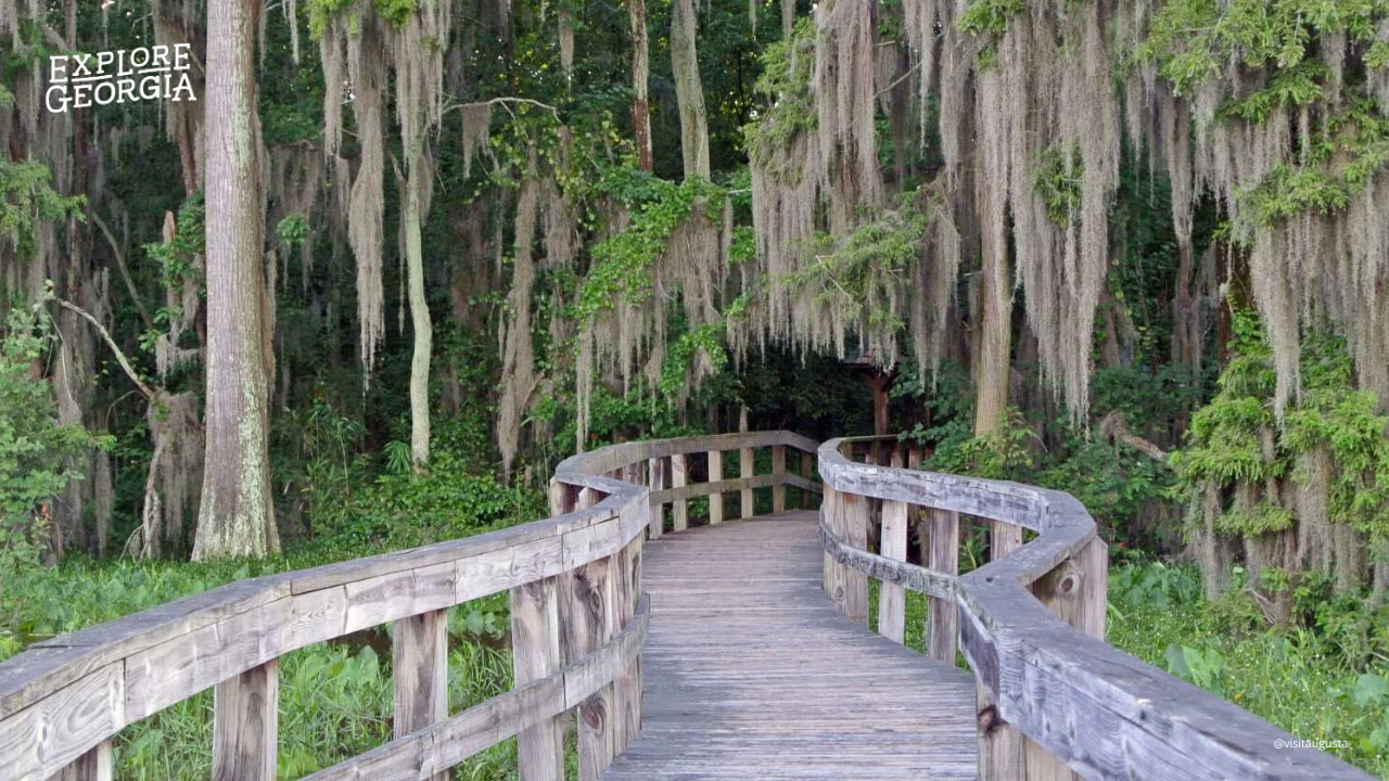 Phinizy Swamp Nature Park in Augusta, Georgia. Photo by @visitaugusta