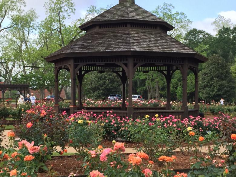 Thomasville Rose Garden