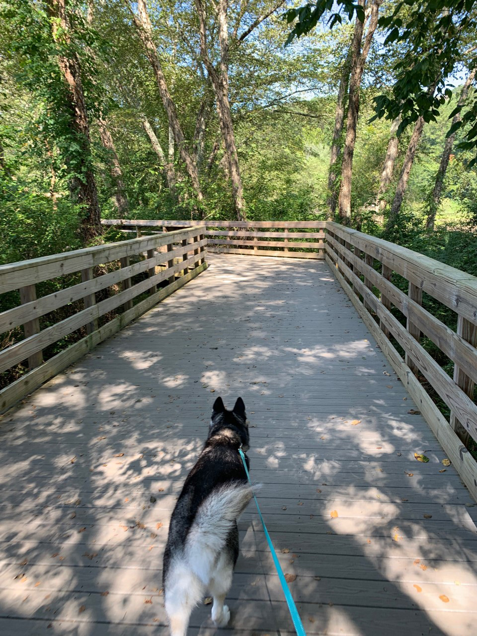 Roswell Boardwalk. Photo by @yeti_notthecooler