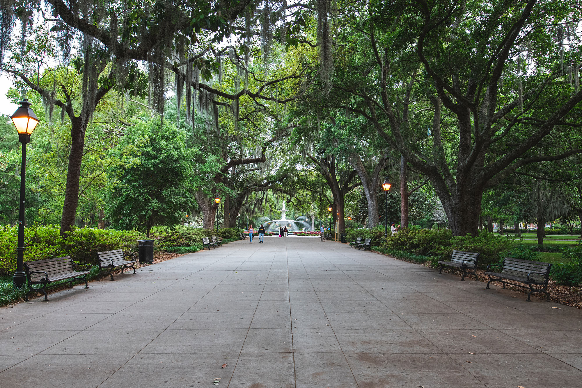Live oaks in Forsyth Park, Savannah. Photo by @wandernorthga
