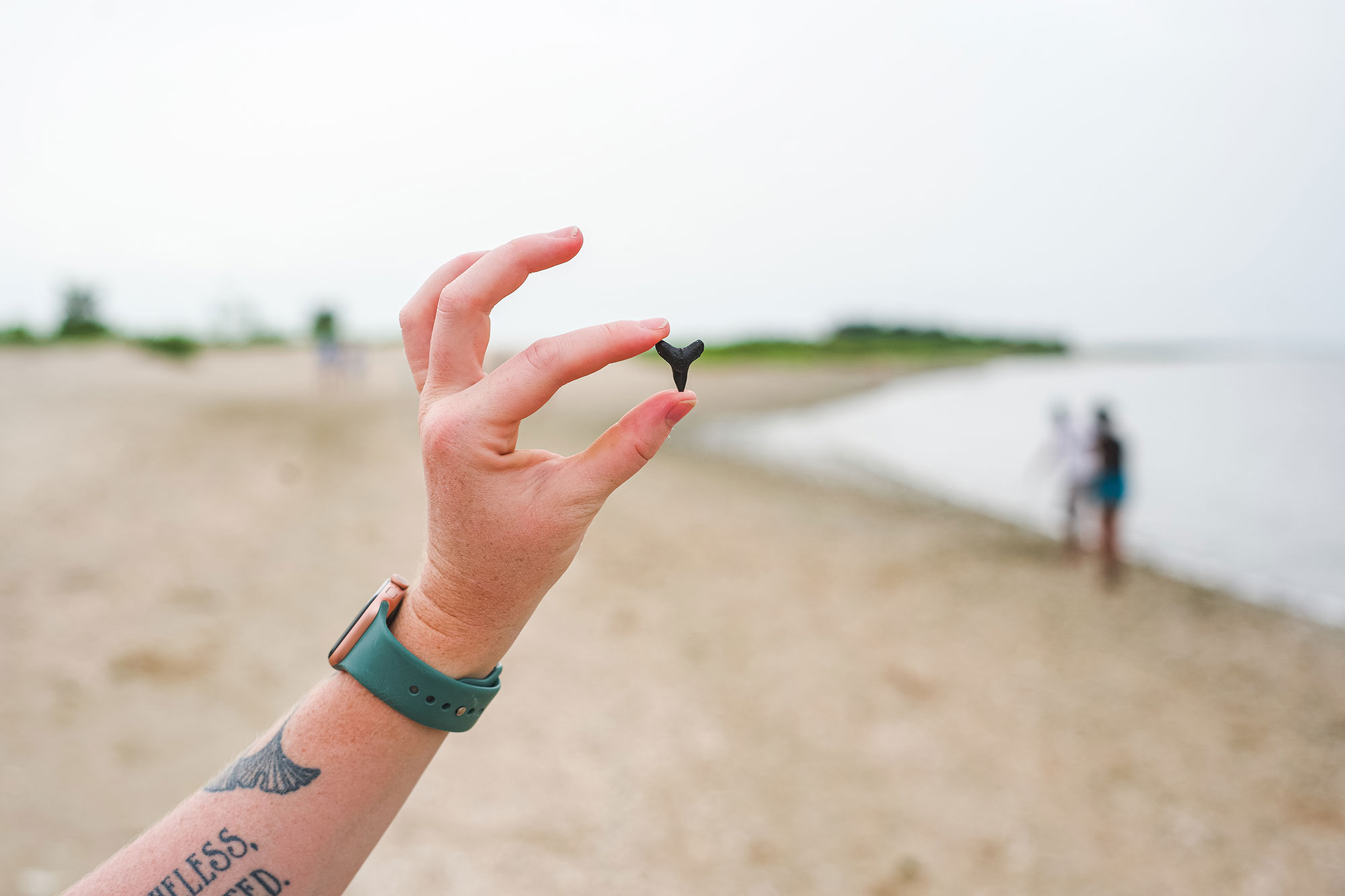 Shark Tooth Beach on Jekyll Island, Georgia
