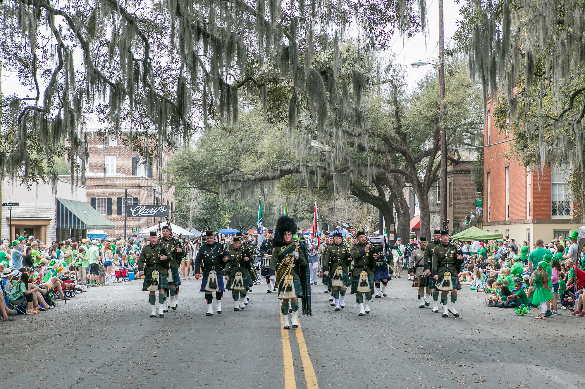 A few lines of bagpipe players march down a street at the St. Patrick's Day parade in Savannah, Georgia. There are spectators on either side of the performers all clad in bright green, cheering on the performers. There are willows in the foreground and background whose branches nearly reach the ground.
