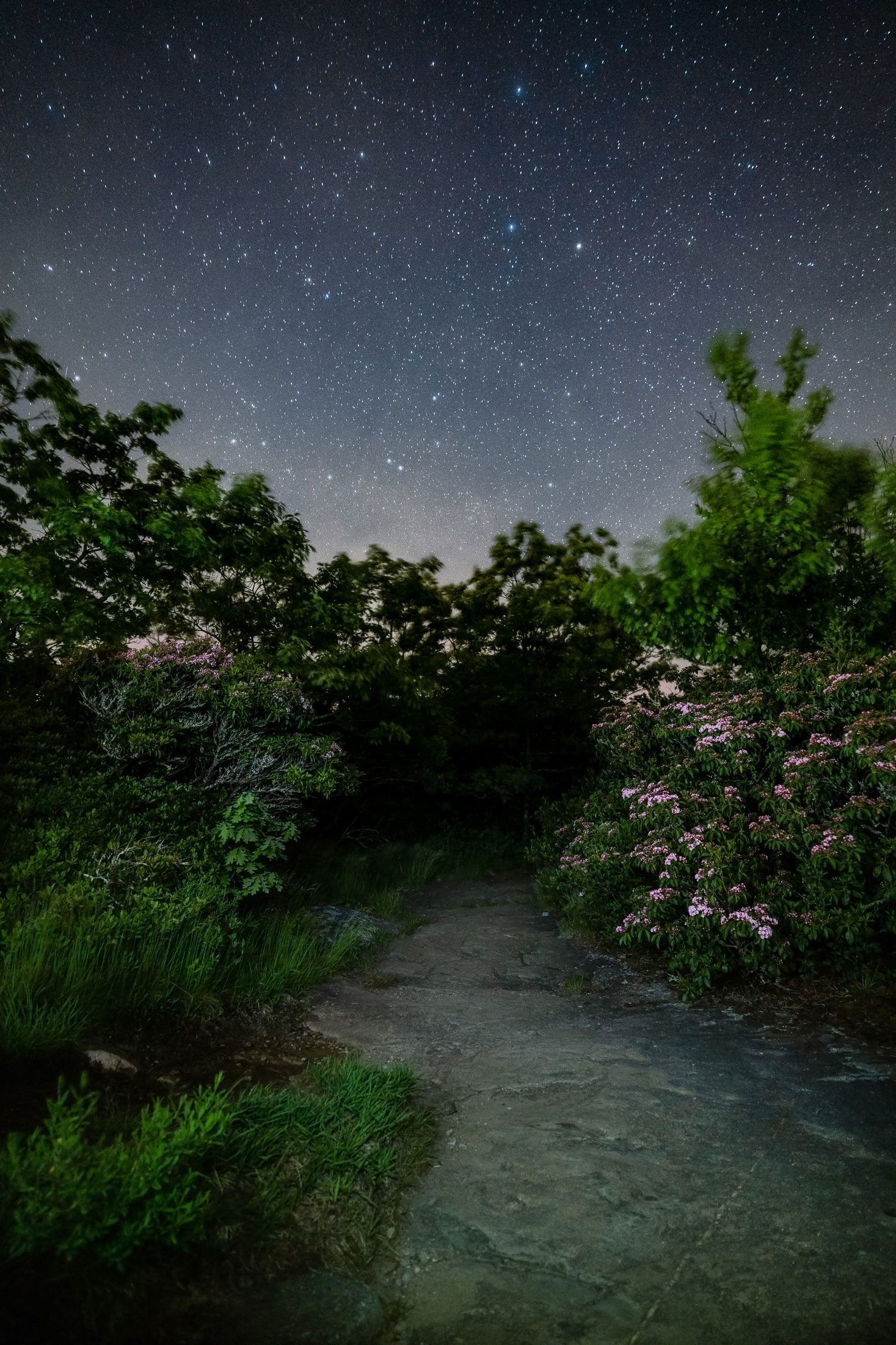 Starry sky over Blood Mountain in Blairsville, Georgia. Photo by Chris Greer
