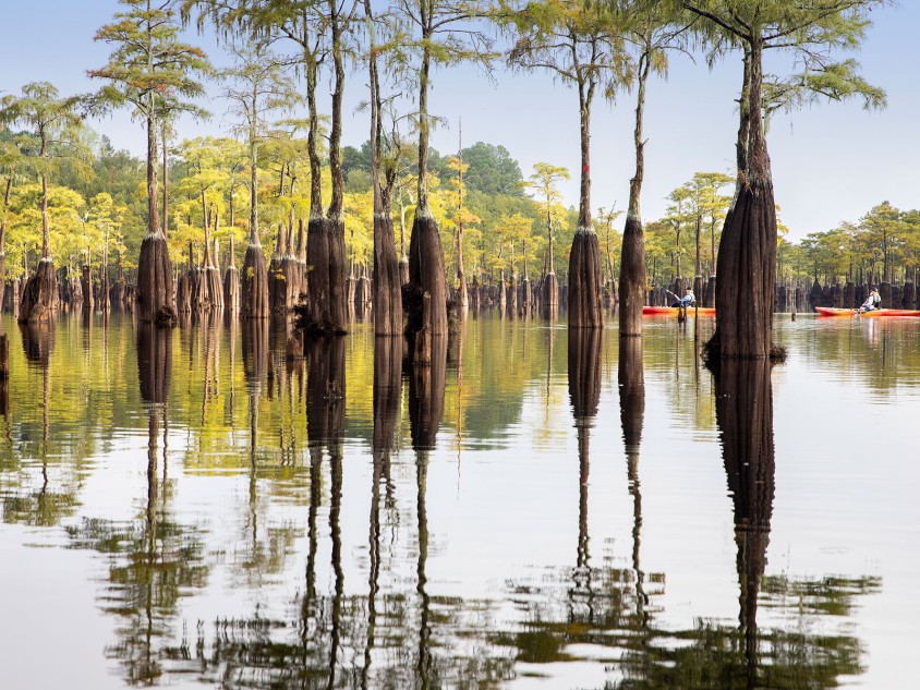 Kayaking at George L. Smith State Park in Twin City, Georgia. Photo by Ben Galland