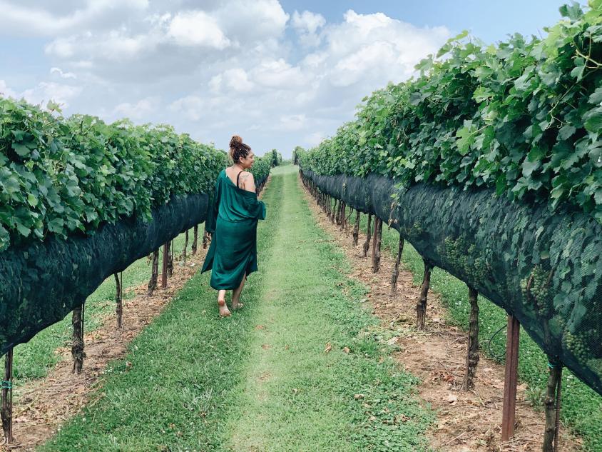 Yonah Mountain Vineyards & Winery in Cleveland, Georgia. Photo by @l0vlee