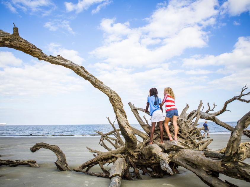 Two young girls on a large piece of driftwood on Jekyll Island's Driftwood Beach