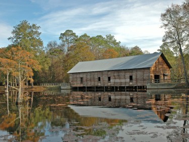 George L. Smith State Park in Twin City, Georgia
