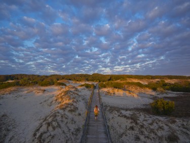 Cumberland Island National Seashore