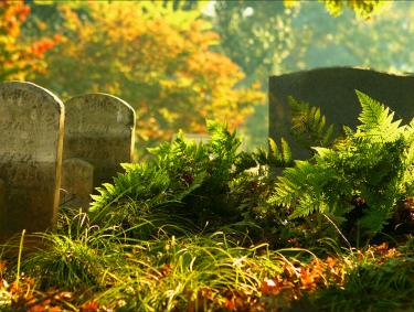 Oakland Cemetery in Atlanta, Georgia. Photo by Dinny Addison