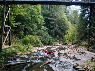 Tumbling Waters Trail in Ellijay, Georgia. Photo by Jonathan Hoek, Gilmer Chamber of Commerce