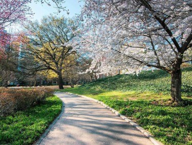 Piedmont Park in spring. Photo by Kimie Yates, @kimieyates