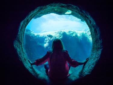 Flint RiverQuarium in Albany, Georgia