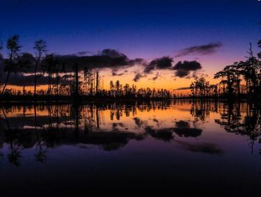 Stephen C. Foster State Park in Fargo, Georgia. Photo by @elvagogringo