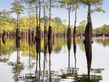 Kayaking at George L. Smith State Park in Twin City, Georgia. Photo by Ben Galland