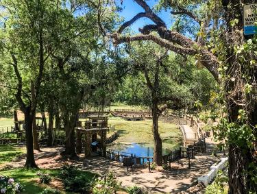 Radium Springs Gardens in Albany, Georgia