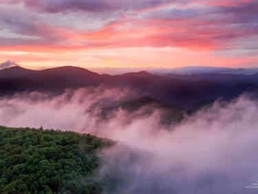 Woody Gap on the Appalachian Trail in Dahlonega, Georgia. Photo by @talkingexcitingly