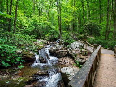 Anna Ruby Falls in Helen, Georgia
