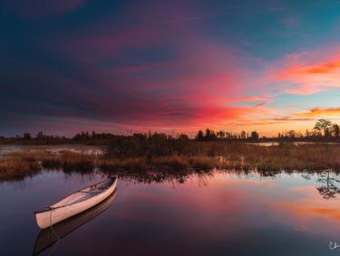 Boat in the Okefenokee Swamp in south Georgia. Photo by Chris Greer