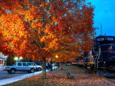 A scenic train sits on the tracks alongside colorful fall foliage