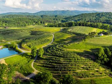 Aerial view of Mercier Orchards in Blue Ridge, Georgia