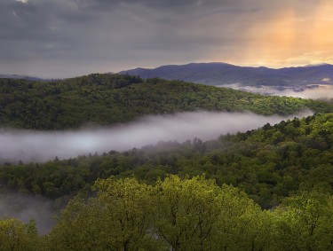 Misty view with low hanging clouds over the trees in Blue Ridge, Georgia