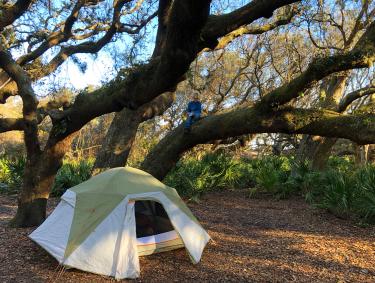 Tent camping on Cumberland Island, Georgia