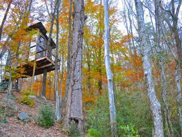 Secluded tree house in North Georgia