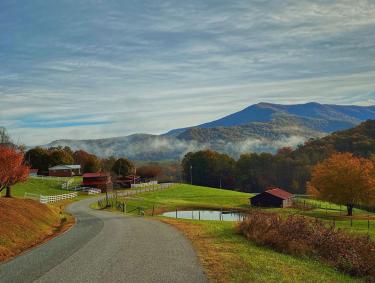 A gray asphalt road winds down a hill flanked by open, grassy lawns in North Georgia. There are clouds of mist in the distance right above the dense forest of trees colored red and orange for fall. In the background is the jagged hill of a mountain covered in trees.